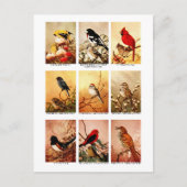 Carte Postale Oiseaux (Devant)
