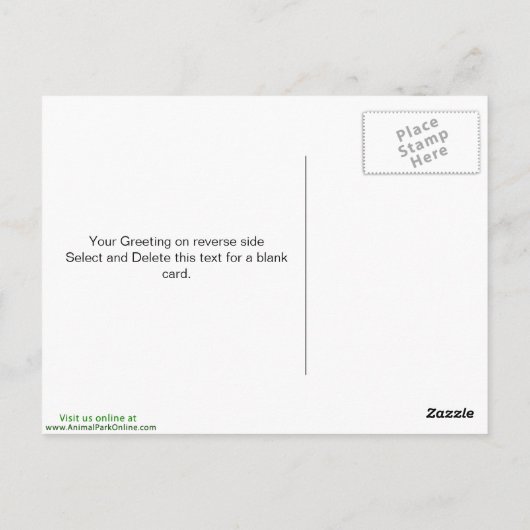 Carte Postale Oiseaux 12 (Dos)