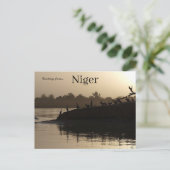 Carte Postale Oiseaux à Niamey Niger (Debout devant)