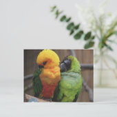 Carte Postale Oiseaux affectueux (Debout devant)