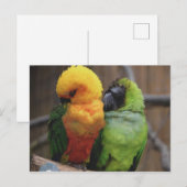 Carte Postale Oiseaux affectueux (Devant / Derrière)
