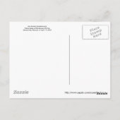 Carte Postale Oiseaux africains : Kori Bustard (Dos)