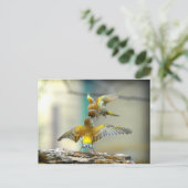 Carte Postale oiseaux aimant (Debout devant)