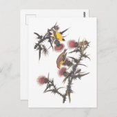 Carte Postale Oiseaux américains d'Audubon Goldfinch (Devant / Derrière)