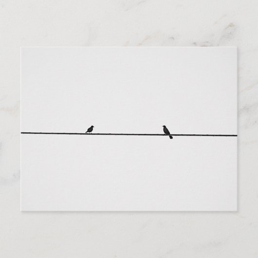 Carte Postale Oiseaux Amis (Devant)