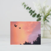 Carte Postale Oiseaux au coucher du soleil (Debout devant)