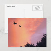 Carte Postale Oiseaux au coucher du soleil (Devant / Derrière)