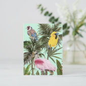 Carte Postale Oiseaux au paradis (Debout devant)