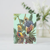 Carte Postale Oiseaux au Paradis - Grands Oiseaux (Debout devant)