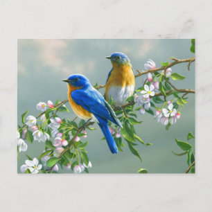 Carte Postale Oiseaux bleus
