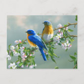 Carte Postale Oiseaux bleus (Devant)