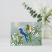 Carte postale Oiseaux bleus (Debout devant)