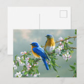 Carte postale Oiseaux bleus (Devant / Derrière)