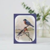 Carte Postale Oiseaux bleus de l'Est avec bébé (Debout devant)