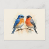 Carte Postale Oiseaux bleus de l'Est et Bullfinch (Devant)