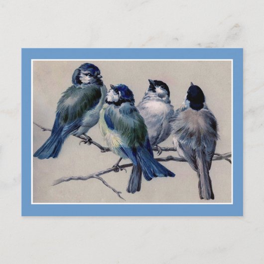 Carte Postale Oiseaux bleus sur une branche (Devant)