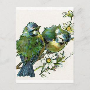 Carte Postale Oiseaux bleus vintages