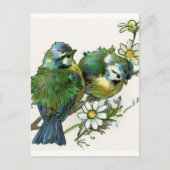 Carte Postale Oiseaux bleus vintages (Devant)