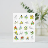 Carte Postale Oiseaux Bluebird Cardinal Chickadee Ornithologie A (Debout devant)