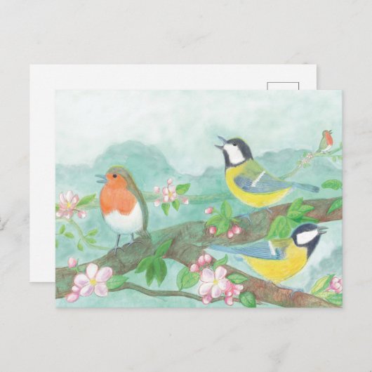 Carte Postale Oiseaux chantant sur une branche d'arbre en fleurs (Devant / Derrière)