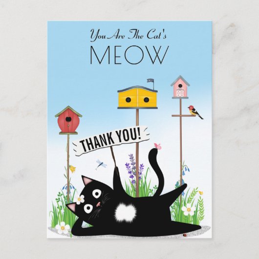 Carte Postale Oiseaux chats jardin merci (Devant)