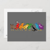Carte Postale Oiseaux colorés d'une plume (Devant / Derrière)
