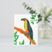Carte Postale Oiseaux colorés Toucan (Debout devant)