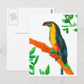 Carte Postale Oiseaux colorés Toucan (Devant / Derrière)