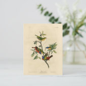 Carte Postale Oiseaux d'Amérique d'Audubon (Debout devant)