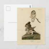Carte Postale Oiseaux d'Amérique d'Audubon (Devant / Derrière)