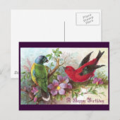Carte Postale Oiseaux d'anniversaire 1800 (Devant / Derrière)