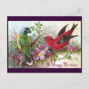 Carte Postale Oiseaux d'anniversaire 1800