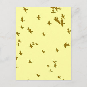 Carte Postale Oiseaux dans le ciel