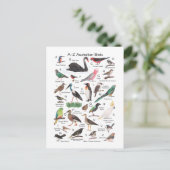 Carte Postale Oiseaux d'Australie (Debout devant)