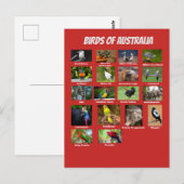 Carte Postale Oiseaux d'Australie (Devant / Derrière)