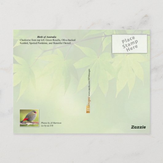 Carte Postale Oiseaux d'Australie (Dos)