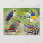 Carte Postale Oiseaux d'Australie (Devant)