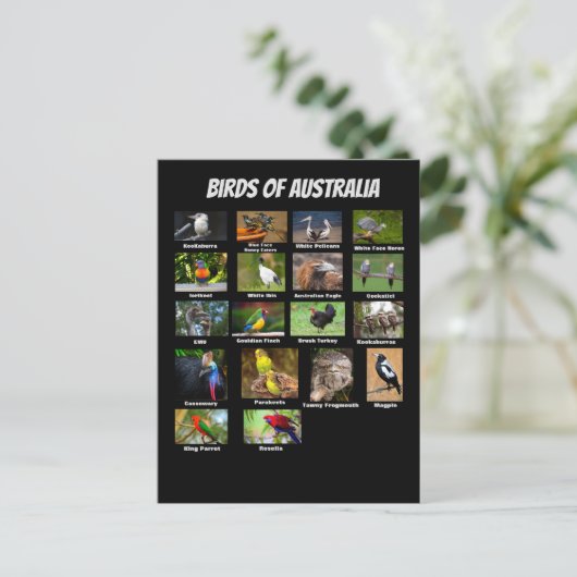 Carte Postale Oiseaux d'Australie (Debout devant)
