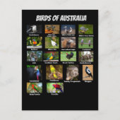 Carte Postale Oiseaux d'Australie (Devant)