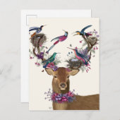 Carte Postale Oiseaux de cerfs, nids d'oiseaux tropicaux (Devant / Derrière)