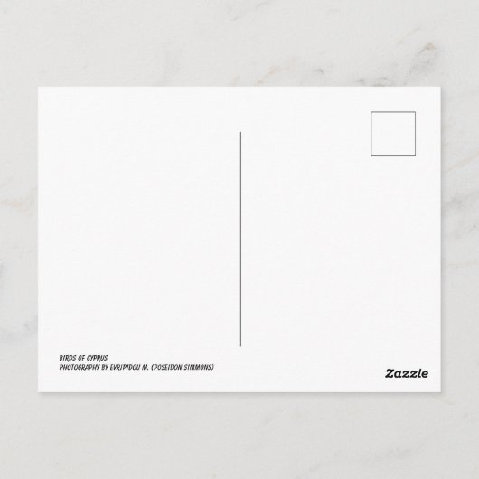 Carte postale Oiseaux de Chypre (Dos)