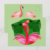 Carte Postale Oiseaux de Flamant rose (Devant / Derrière)