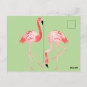 Carte Postale Oiseaux de Flamant rose (Dos)
