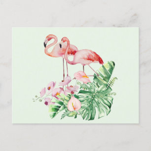 Carte Postale Oiseaux de Flamant rose, Fleurs tropicales et Feui