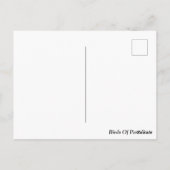 Carte Postale Oiseaux De Fleur Paradisiaque (Dos)