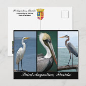 Carte Postale oiseaux de Floride (Devant / Derrière)