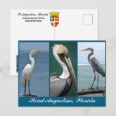 Carte Postale oiseaux de Floride (Devant / Derrière)
