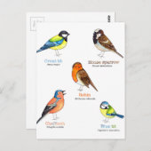 Carte Postale Oiseaux de jardin colorés (Devant / Derrière)