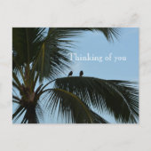 Carte Postale Oiseaux de Kauai Hawaii en palmier (Devant)