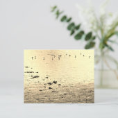 Carte Postale Oiseaux de mer en sépia (Debout devant)